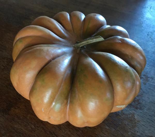 fruit de courge d'hiver musquée de Provence, semence paysanne bio