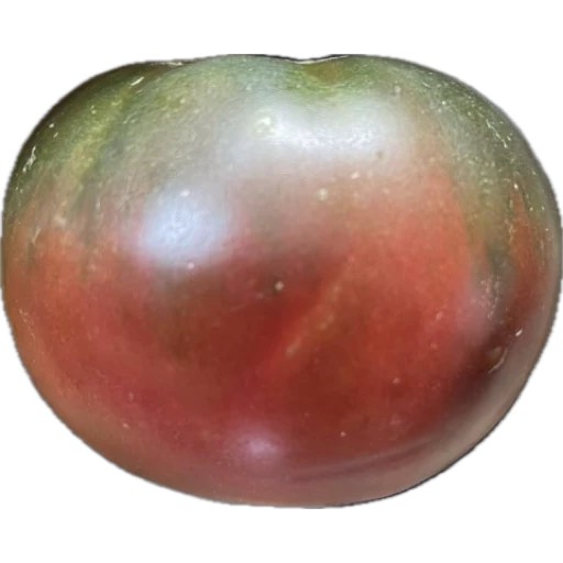 fruit de tomate noire de crimée, semence paysanne bio