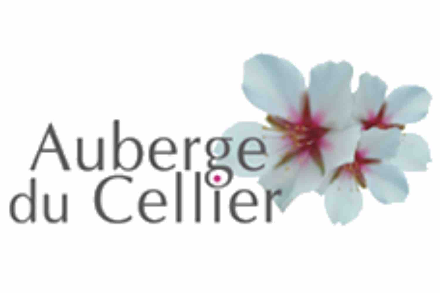 Design sans titre - 1