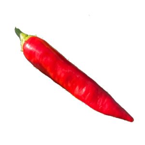 Piment Sucette de Provence - Semence Paysanne Reproductible bio