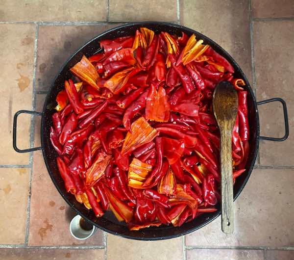 Piment Sucette de Provence - Semence Paysanne Reproductible bio – Image 6